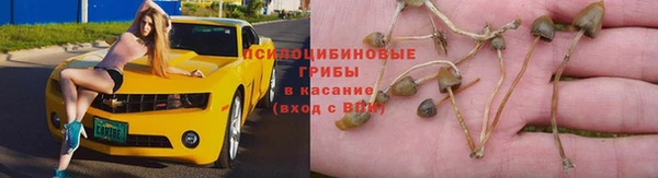 бошки Богородск
